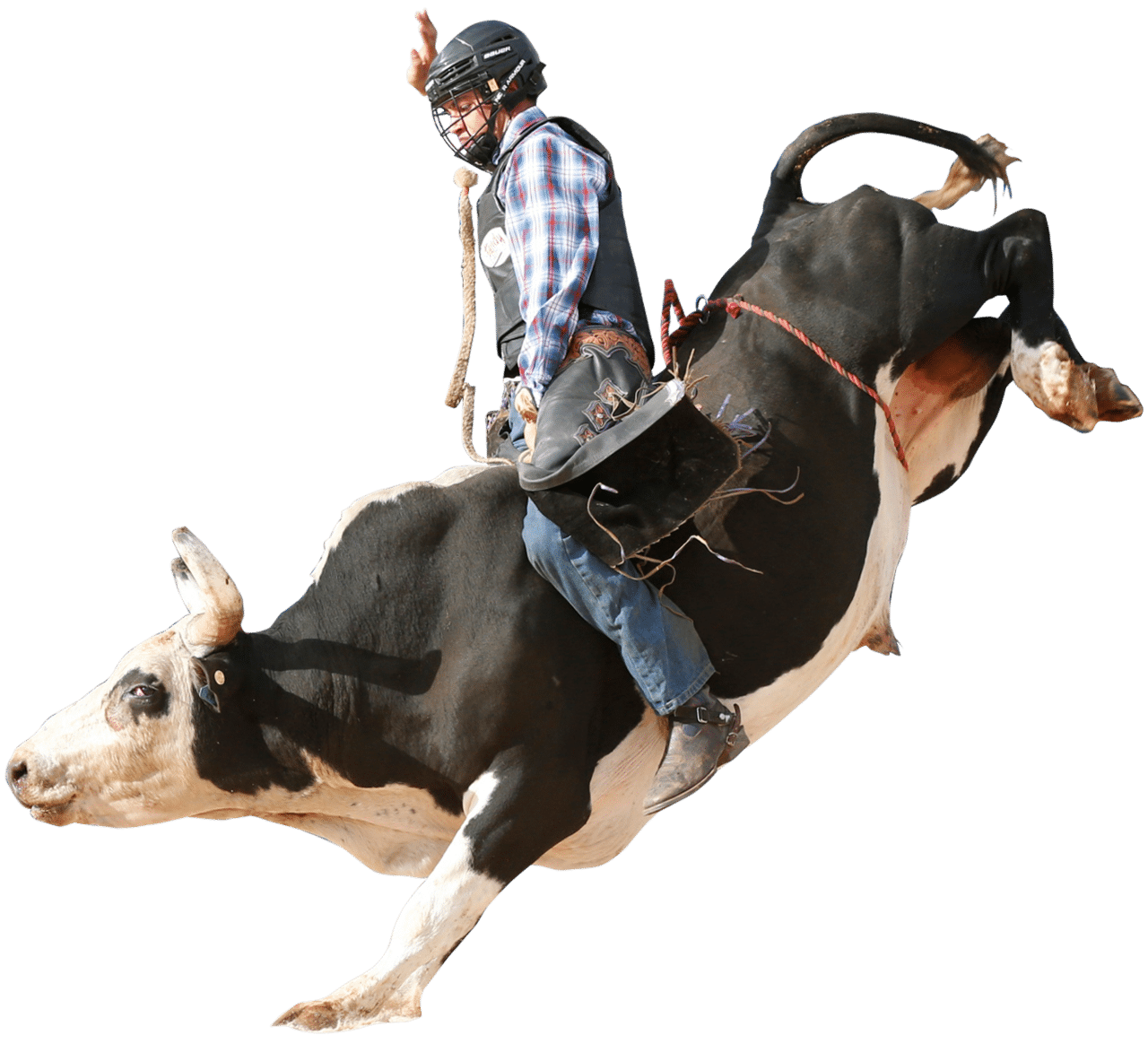 Bull Riding Brand Malanda Bull Ride Sponsors